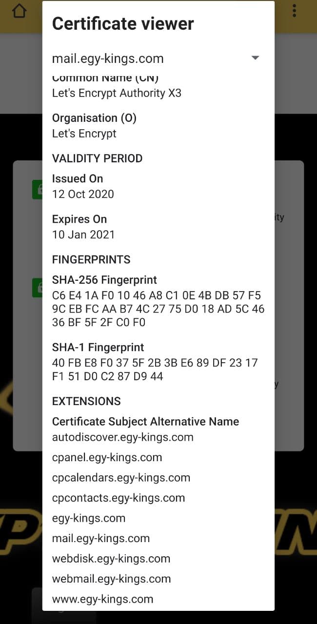 SSL TLS certificate HTTPS Moblile Android  Shopping Online Egyptian Kings TUT
