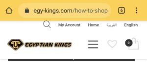 SSL TLS HTTPS Padlock Sign Android Shopping Online Egyptian Kings TUT