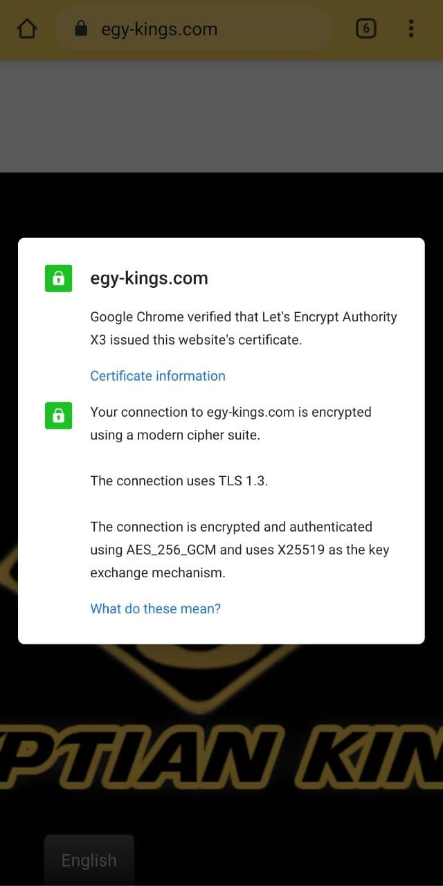 SSL TLS certificate HTTPS Moblie Android Shopping Online Egyptian Kings TUT